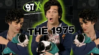 #MattyHealy (#The1975) & a puppy answer questions backstage at #97XNBT