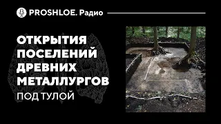 Чудеса современной археологии: новые открытия в тульских лесах