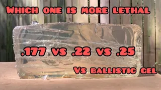 .177 .22 .25 airguns vs ballistic gel