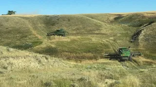 Who Needs A Gator? / Day 23 Highwood Montana Wheat Harvest (August 11)