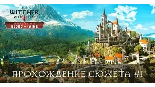 the Witcher 3 Кровь и вино ДОНАТ В ОПИСАНИИ