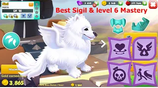 Best Sigil and level 6 skill for Pet Primal Maya Dragon-Dragon mania Legends | DML