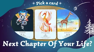 Next Chapter Of Your Life?✍️⎜Pick a card ☀️Timeless reading 🔮