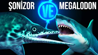 Megalodon ve En Büyük Deniz Dinozorunun Efsanevi Karşılaşması