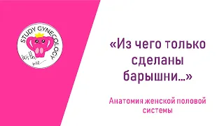 ГИНЕКОЛОГИЯ Анатомия и топография | Органы женской половой системы - К ЭКЗАМЕНУ