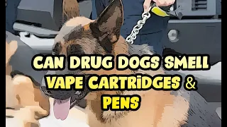 Can Drug Sniffing Dogs Smell Vape Cartridges Wax