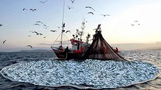 Everyone should watch this Fishermen's video - Most Advance Fishing Vessel, Fishing Net on the Sea