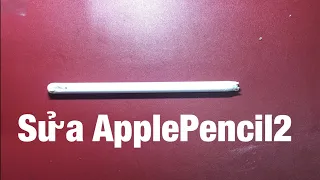 Apple Pencil 2 Bị Gãy Ngòi, Không Viết Được [ iMeo ]