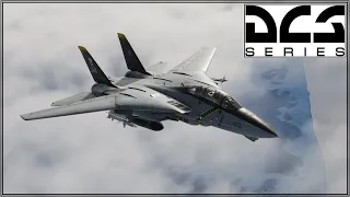 DCS - Caucasus -F-14B - Online Play - Success Denied