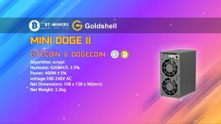 Goldshell MINI DOGE II DOGE & LTC Miner Setup