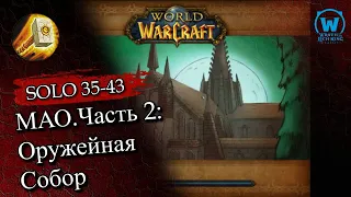 Прокачка паладина соло по подземельям 35-42(43) уровни Wotlk Classic #wotlk  #wotlkclassic