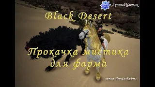 Black desert. Прокачка мистика для фарма.