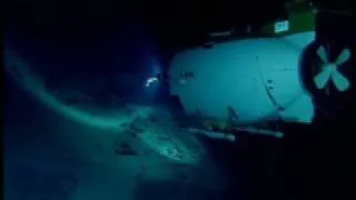 Rare life on the sea floor- The Abyss- BBC Wildlife