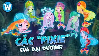 BẠN BIẾT GÌ VỀ CÁC TIỂU TIÊN CÁ "SELKIE" TRONG WINX CLUB ?