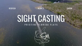 Sight Casting Clear Florida Flats in Inches of Water