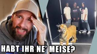 Echten Tiger für einen Fashion-Shooting ausgenutzt - DAS GEHT GAR NICHT! | Robert Marc Lehmann