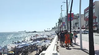 🔴Ao Vivo Praia Da Barra / Salvador / Bahia De