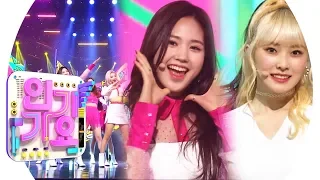 DreamNote(드림노트) - Hakuna matata(하쿠나마타타) @인기가요 Inkigayo 20190324