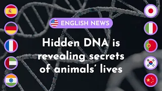 Hidden DNA is revealing secrets of animals’ lives | Study English with Articles