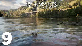 Hogwarts Legacy. Прохождение. Часть 9 (Дуэль. Ныряем в Черное Озеро)