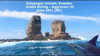 Galapagos, Ecuador - Scuba Diving - June 2021 (4K 60FPS)