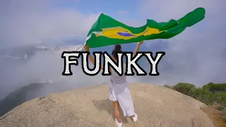 🔥 FUNKY BRASILERO #13 😈 FIESTERO FUNKY (LO MAS ESCUCHADOS 2023)