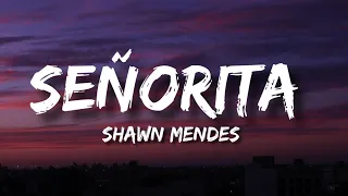 Shawn Mendes & Camila Cabello - Señorita (Lyrics)