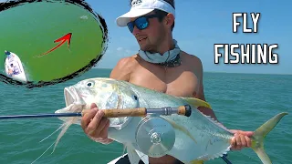 Fly Fishing Jack Crevalle (Feeding Frenzy)