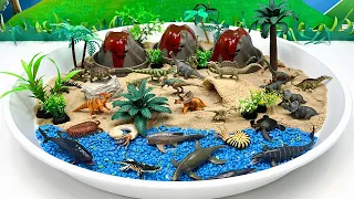 Small World With Dinosaur And 3 Volcano In White Tray |  T-Rex Mosasaurus 공룡 스몰월드 볼케이노 화산