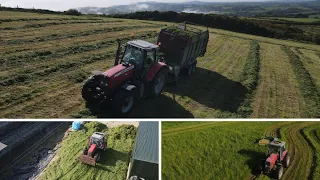 Wagon Silage With 3 Massey Fergusons In West Cork