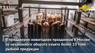 В Москве из незаконного оборота изъято более 10 тонн рыбной продукции