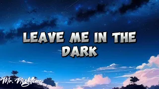 Alexander Stewart - Leave Me in the Dark (lyrics video)