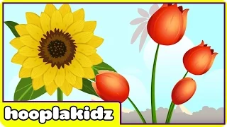 Preschool Activity | Learn About Flowers 2 | HooplaKidz