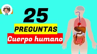 [Test] CUERPO HUMANO ⌛ Preguntas y respuestas