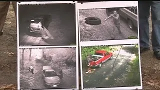 More cameras installed to catch illegal dumping violators