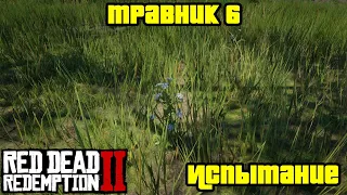 Прохождение RDR 2 на 100% - Испытание: Травник 6 (Глава 2 - Нагорье Подкова)