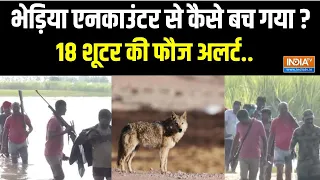 Bahraich Bhediya News Update: बहराइच जागा..भूखा भेड़िया खेत में भागा !  UP News