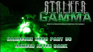 Stalker: GAMMA Hardcore Hobo Pt 36