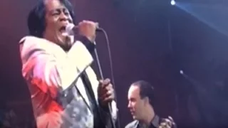 James Brown w/ Dave Matthews Band - "Sex Machine" - 12/21/02 - Madison Square Garden - [Screenshot]