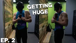 Push Workout & Full Day of Eating | Road To Grow