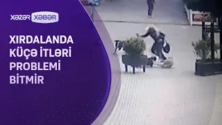 Xırdalanda it dişləyən qadın DANIŞDI: "Ayağımdan əti qopardı"