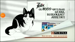 Felix sensetions russia purina logo