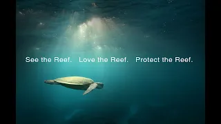 See the Reef, love the Reef, protect the Reef | Great Barrier Reef Marine Park Authority