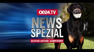 News-Spezial: Blutige Gefahr – Kampfhund