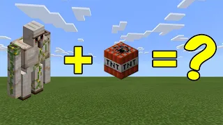 I Combined an Iron Golem and a TNT in Minecraft...