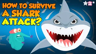 When You See A Shark | Shark Attack | The Dr Binocs Show | Peekaboo Kidz
