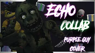 [FNAF/SFM/C4D/COLLAB] Echo | Purple guy Cover [Deleted Video] read the Description