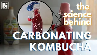 SCIENCE BEHIND KOMBUCHA CARBONATION: How do you carbonate kombucha and can you measure carbonation?