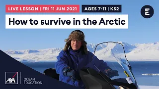 How to survive in the Arctic | AXA Arctic Live 2021 | KS2 / Ages 7-11