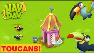 Hay Day Birds: Toucans (Guide)